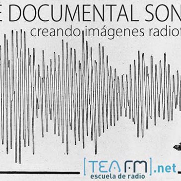Fans de la radio y del sonido